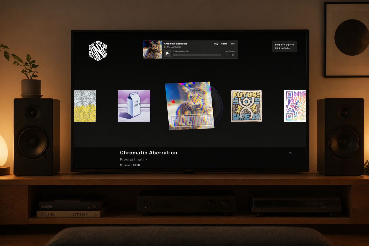 Not The Final Vinyl shown on a home entertainment screen